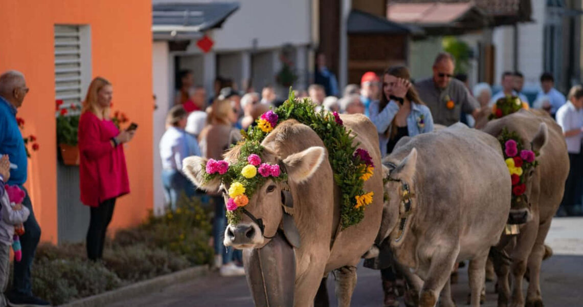 Lebendige Traditionen in den Schweizer Alpen